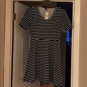 Brand new Suzy shier dress